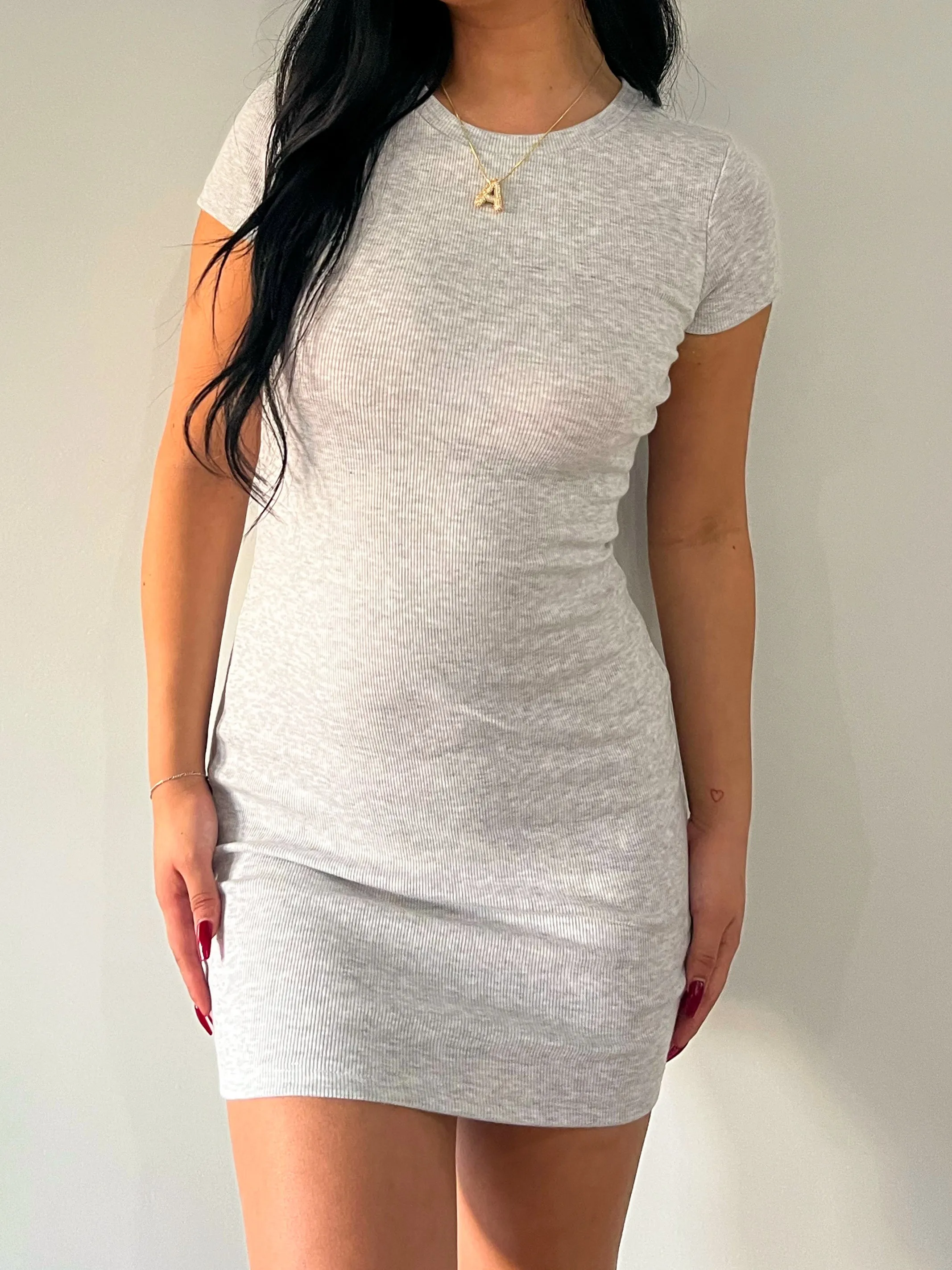 Alejandra Ribbed Mini Dress (Grey)