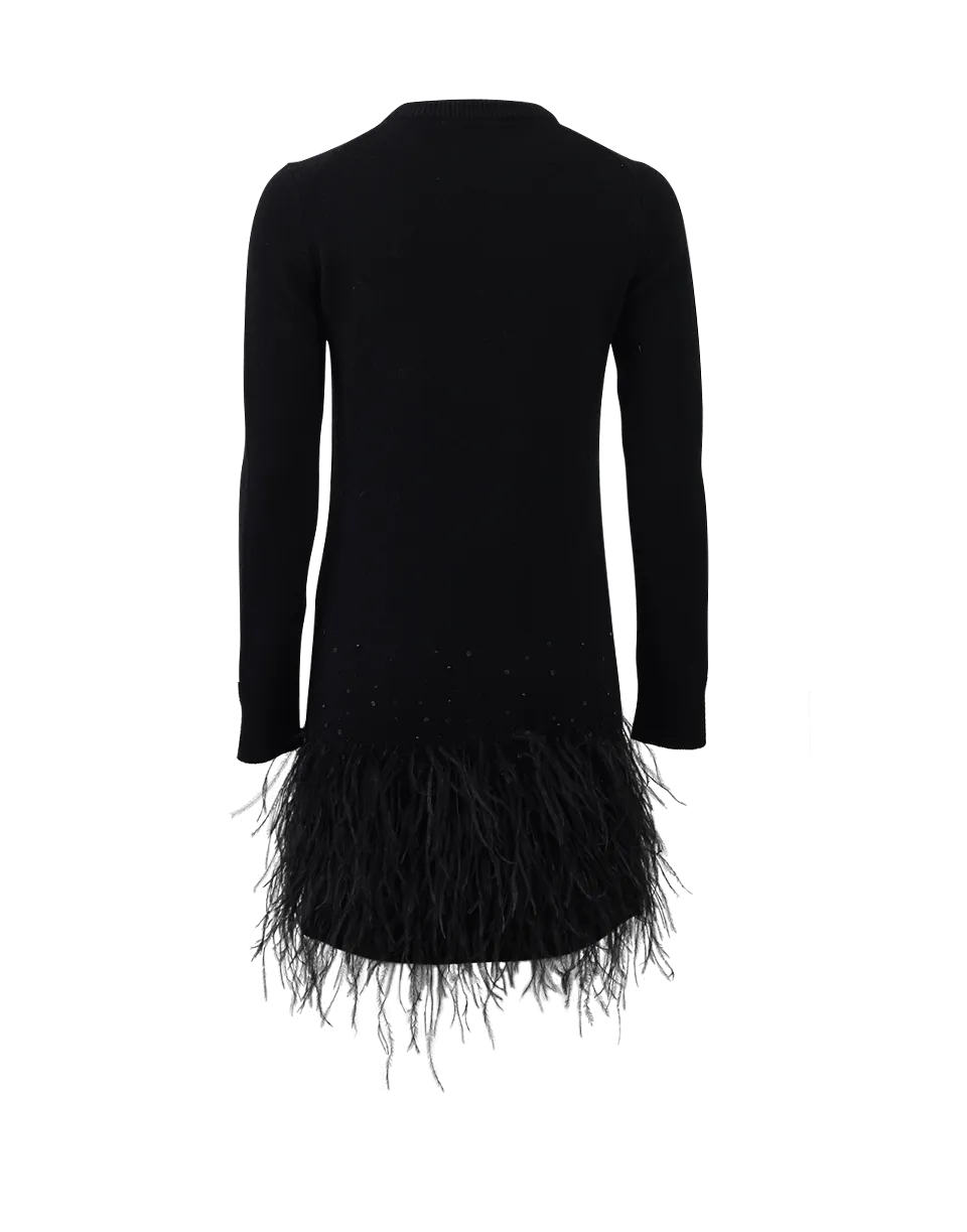 Feather Embroidered Sweater Dress