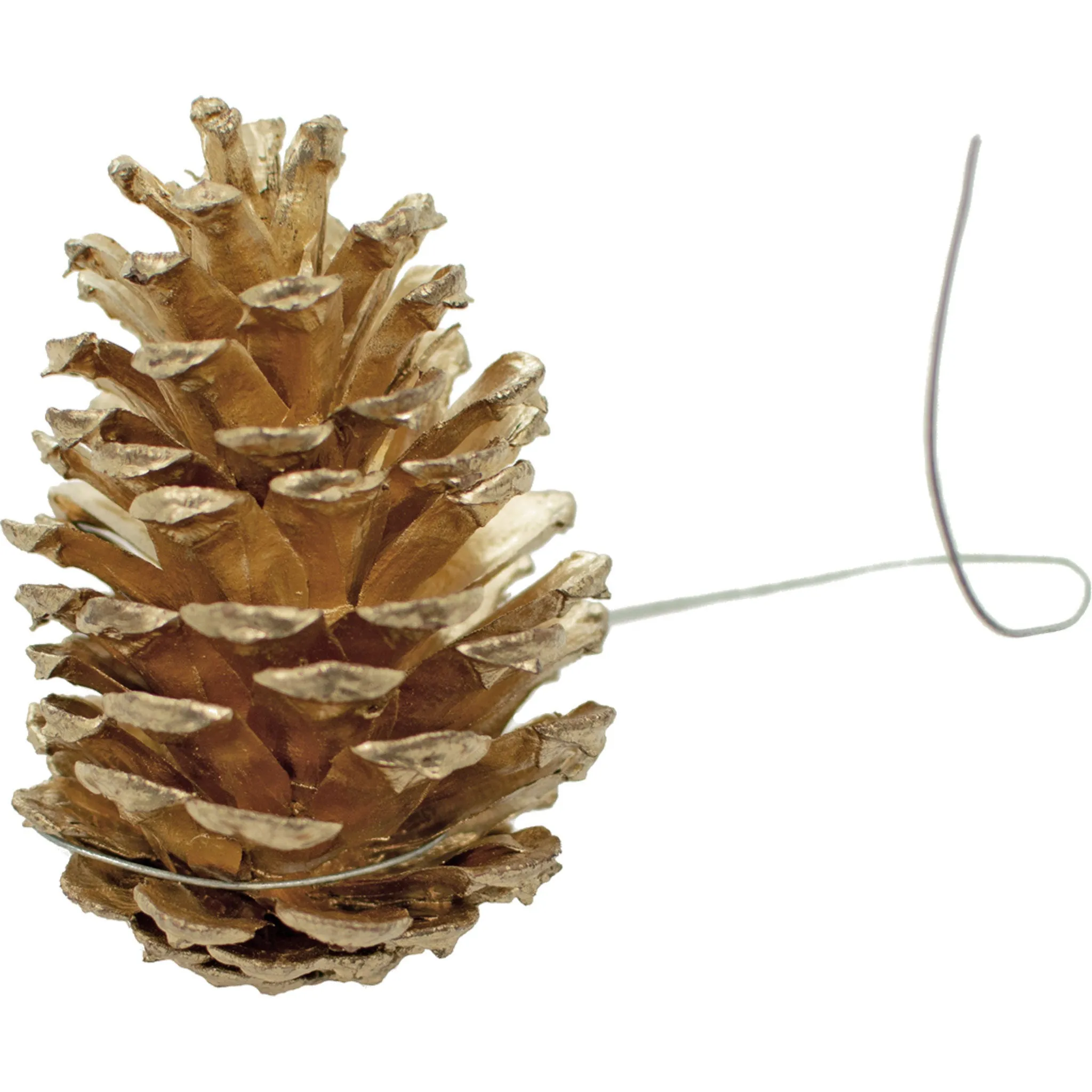 Gold Pine Cones with Hanging Wires