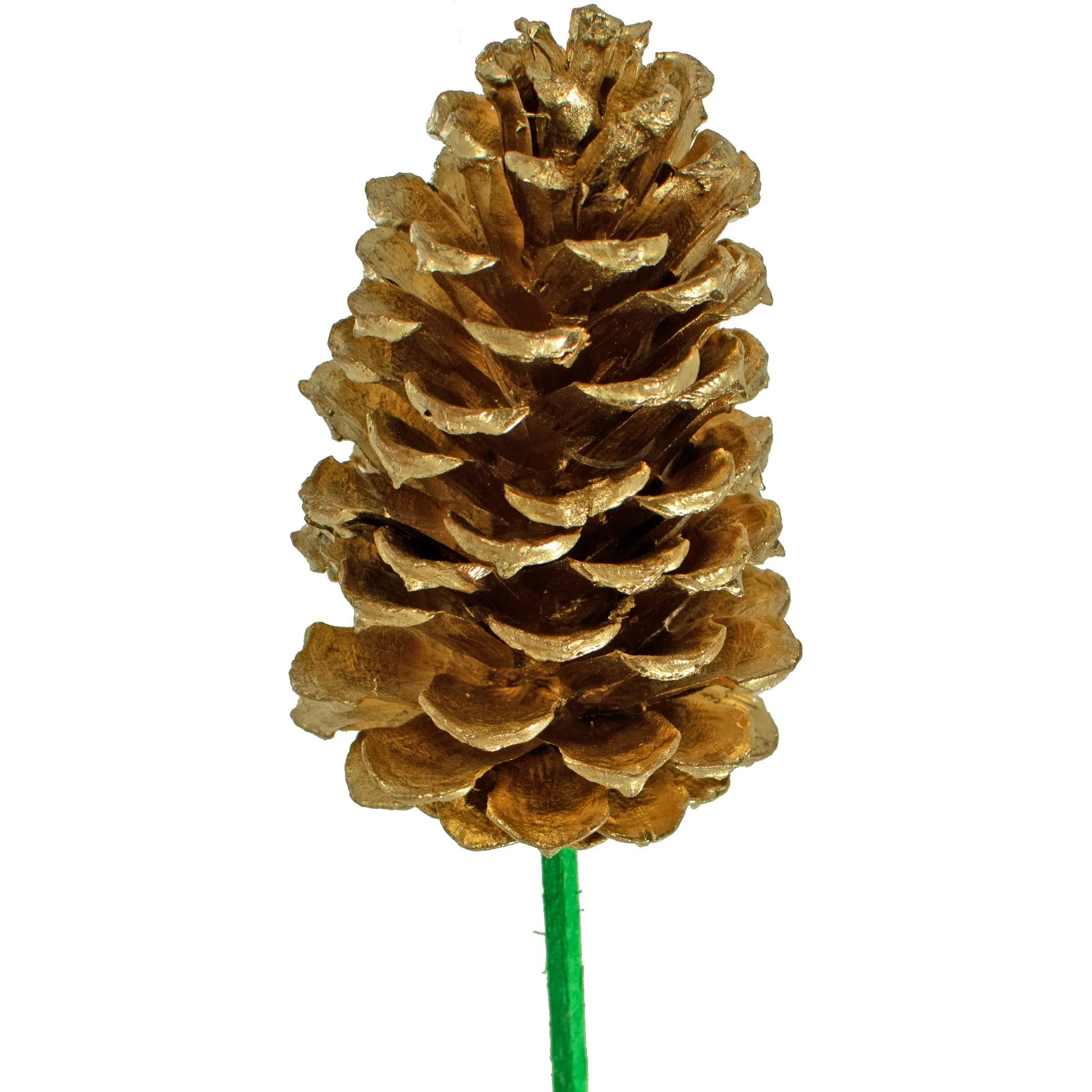 Gold Pine Cones