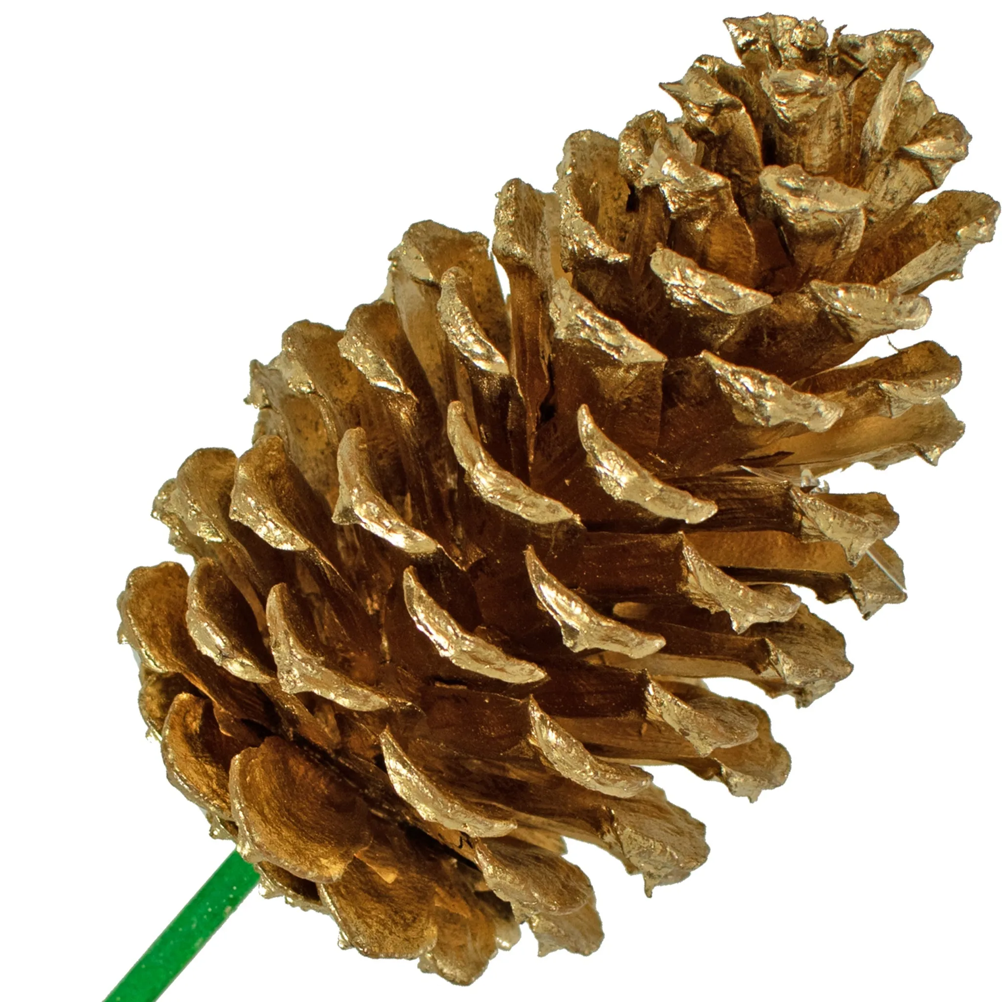 Gold Pine Cones