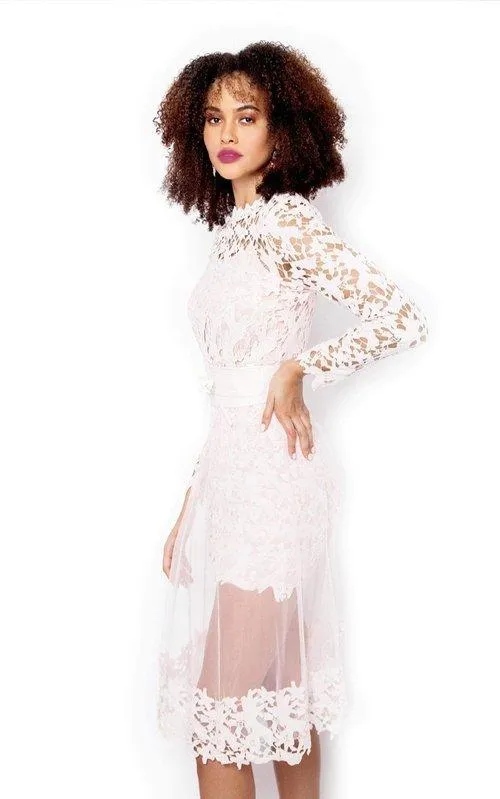 Gorgeous Pastel Pink lace & tulle pencil party cocktail pencil long lace dress - Calithea