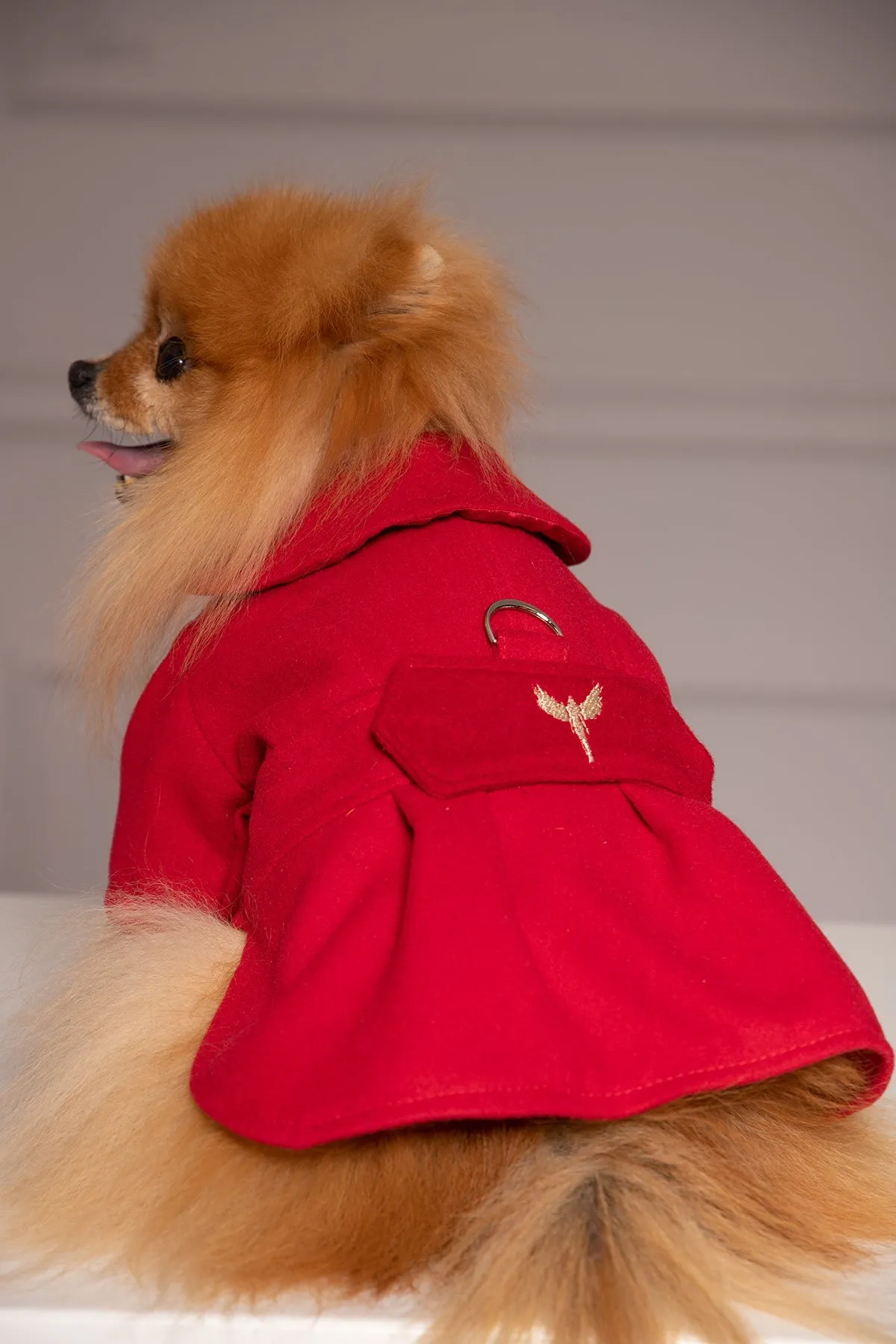 HALF SLEEVE DOG COAT