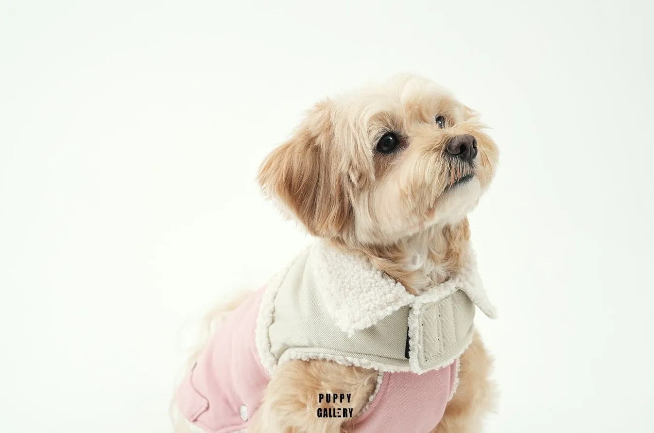 Korean Design Teddy Bear Fleece Winter Puffer Jacket for Dogs / Cats