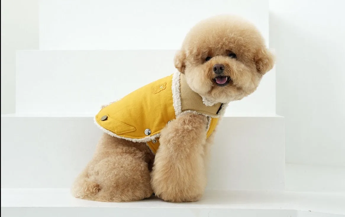 Korean Design Teddy Bear Fleece Winter Puffer Jacket for Dogs / Cats