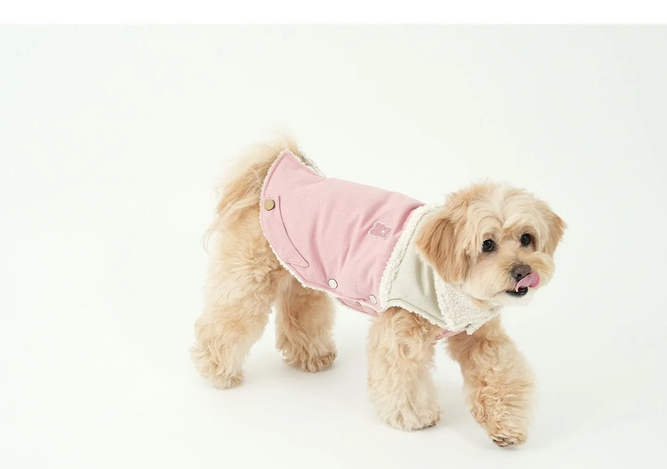 Korean Design Teddy Bear Fleece Winter Puffer Jacket for Dogs / Cats