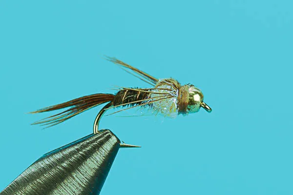 Pheasant Tail UV-Beadhead