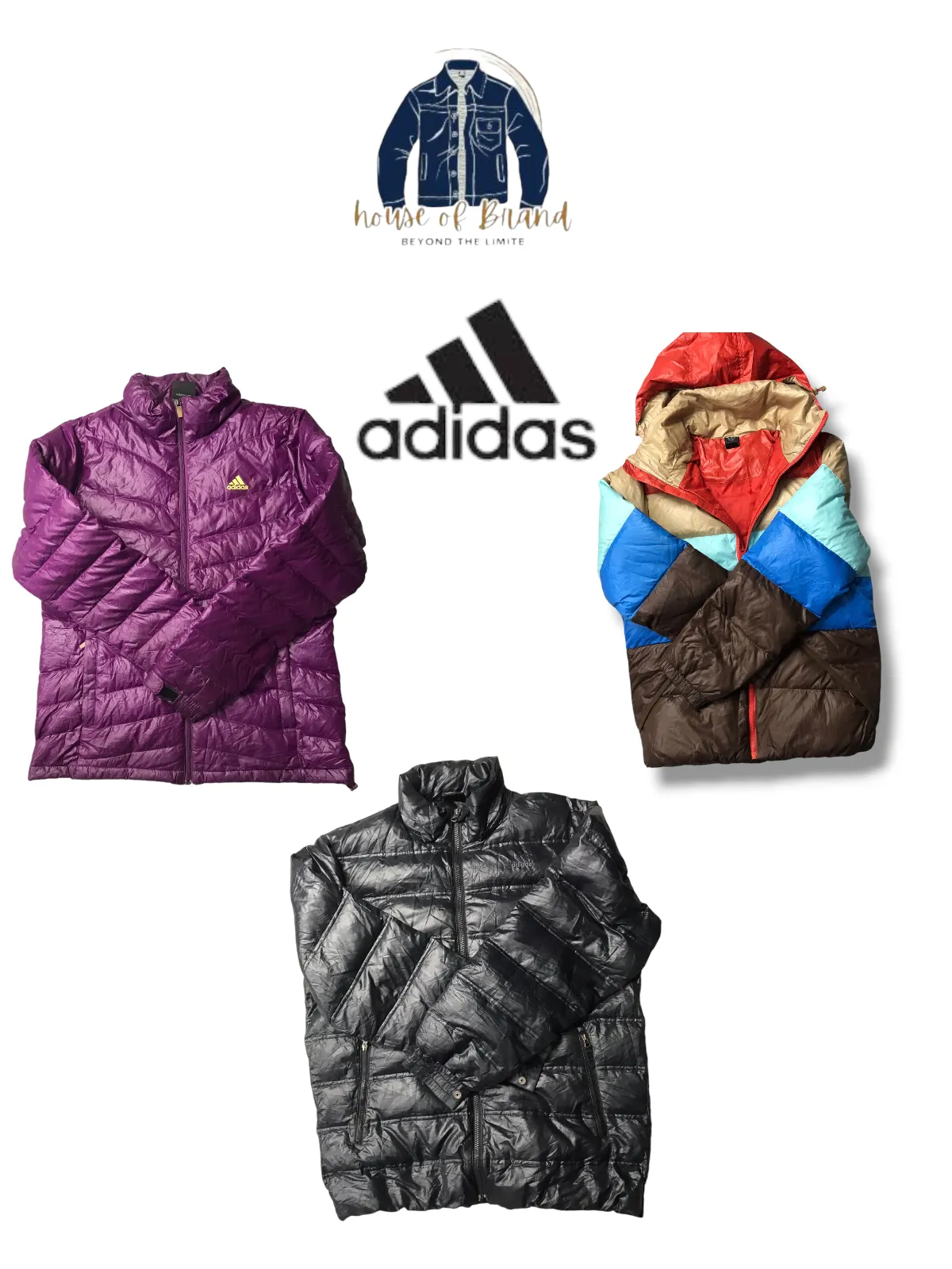 Winter Collection Adidas Puffers