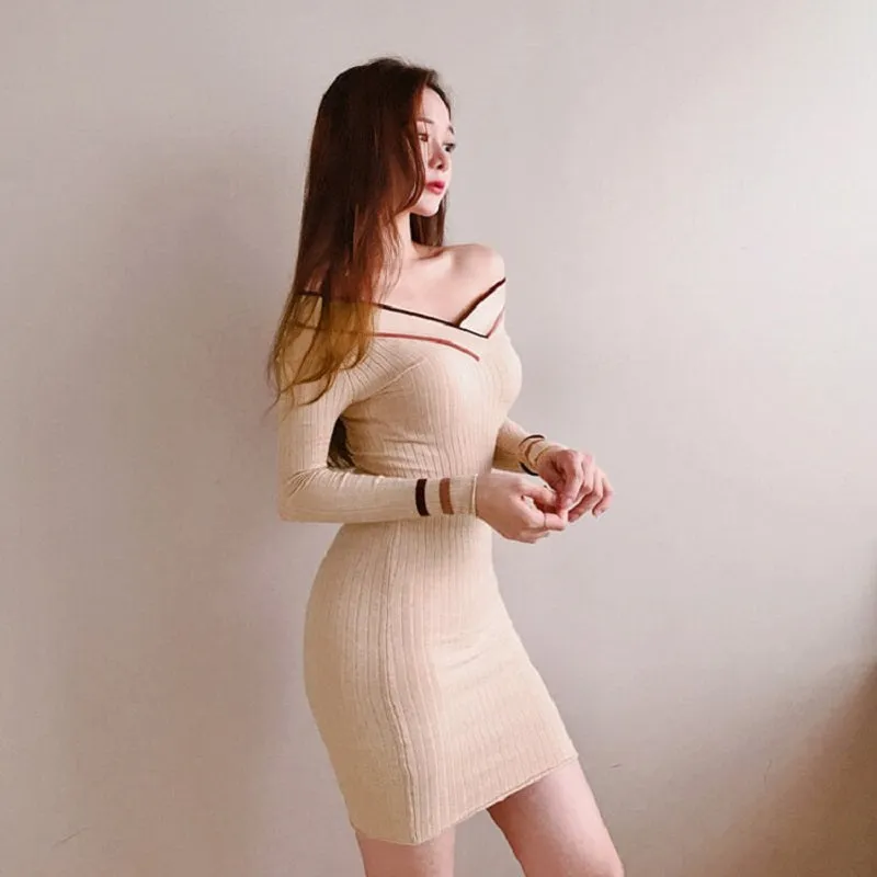 Women's Spring/Autumn Striped Sheath Sweater Mini Dress