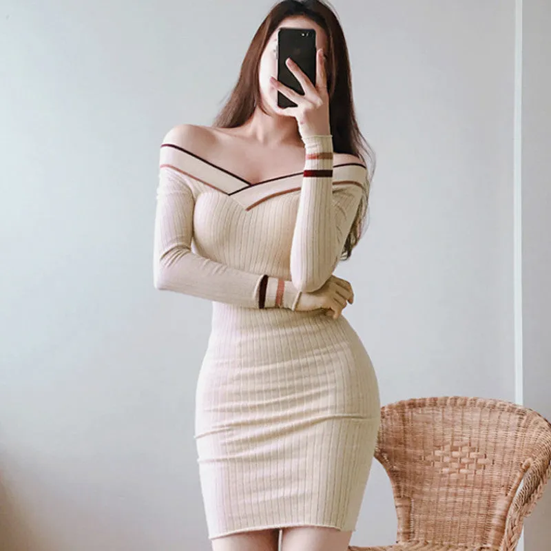 Women's Spring/Autumn Striped Sheath Sweater Mini Dress